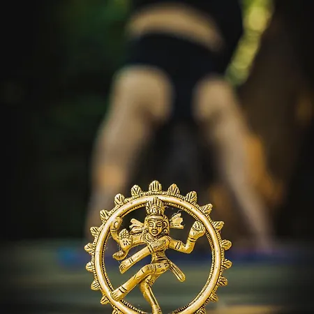 Matratea Elvonulohaz