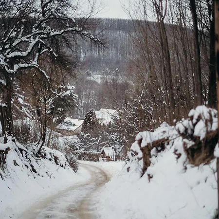 Mátratea Elvonulóház Alpesi faház *