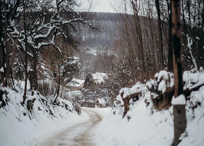 Mátratea Elvonulóház Alpesi faház *